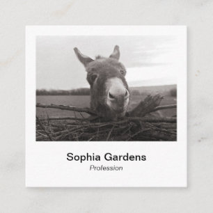 Instant Photo Style - Friendly Donkey Square Business Card