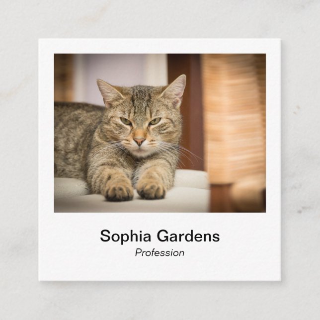 Instant Photo Style - Tabby Cat Square Business Card (Front)