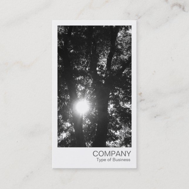 Instant Photo - Sun Through the Trees BW Business Card (Front)