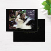 Instinct Life Lessons From a Cat ACEO Art Cards (Desk)