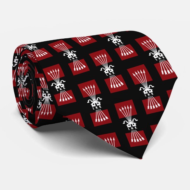 Instituto Nacional de la Vivienda (INV) Neck Tie (Rolled)