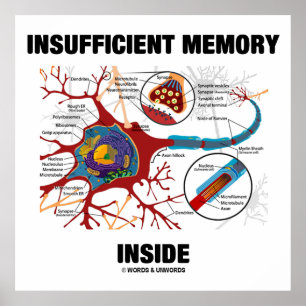 Insufficient Memory Inside (Neuron / Synapse) Poster