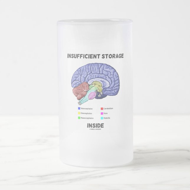 Insufficient Storage Inside (Brain Anatomy Humor) Frosted Glass Beer Mug (Center)