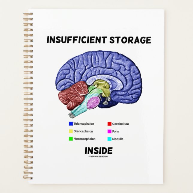 Insufficient Storage Inside Brain Anatomy Humor Planner (Front)