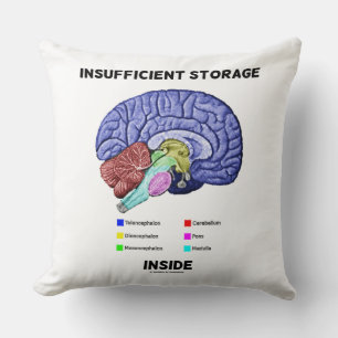 Insufficient Storage Inside Brain Anatomy Humor Throw Pillow