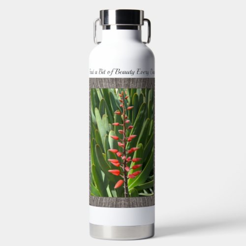 Insulated Water Bottle with Fan Aloe