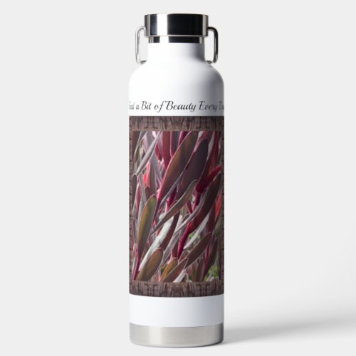 Insulated Water Bottle with Leucadendron