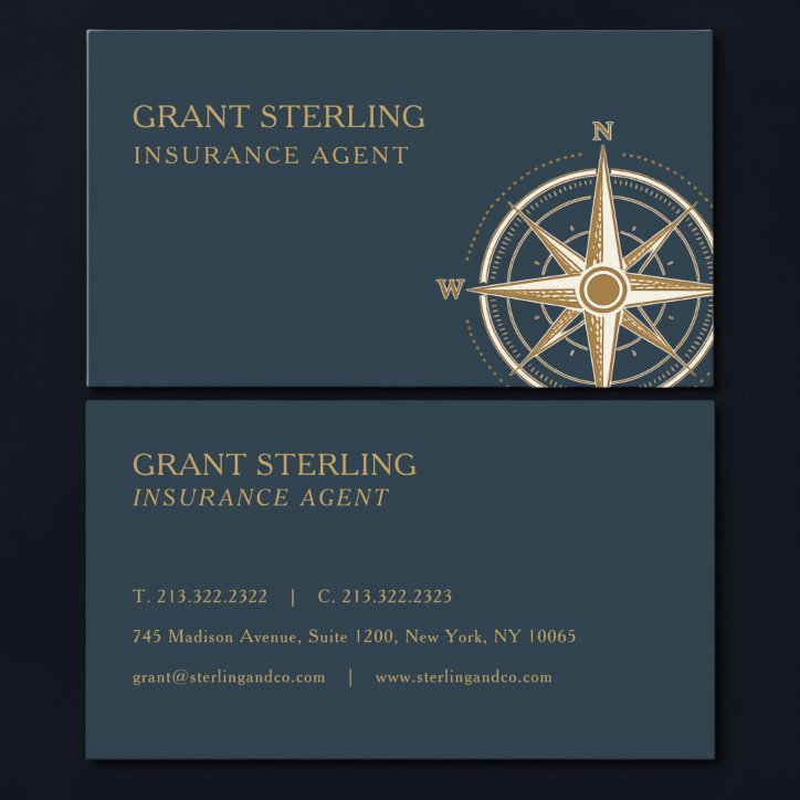 Insurance Agent Nautical Compass Business Card