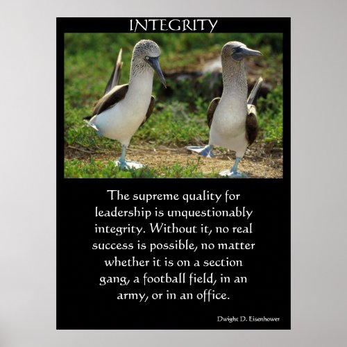 INTEGRITY Posters