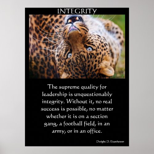 INTEGRITY Posters 31