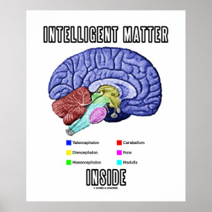 Intelligent Matter Inside (Anatomical Brain Humor) Poster
