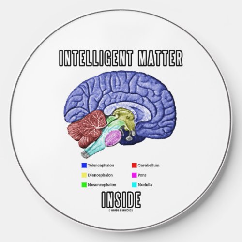 Intelligent Matter Inside Anatomical Brain Humor Wireless Charger