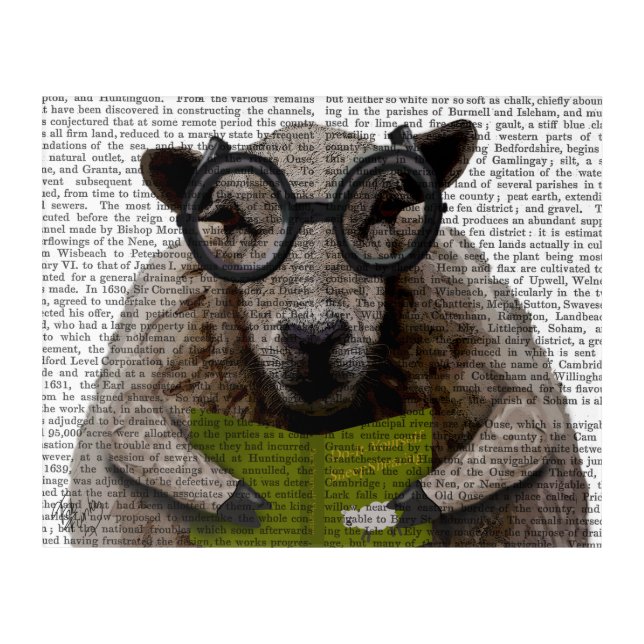 Intelligent Sheep Acrylic Print (Front)