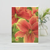 Intense (Standing Front)