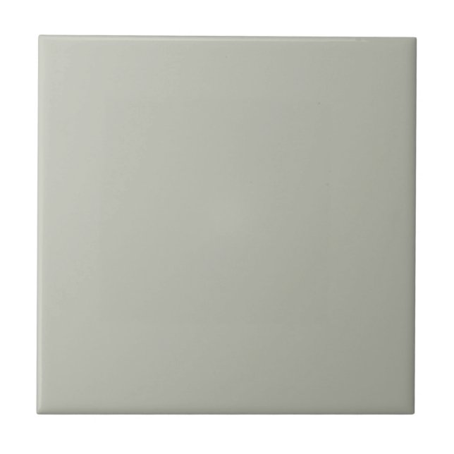 Intense Austere Gray Square Kitchen and Bathroom Ceramic Tile (Front)
