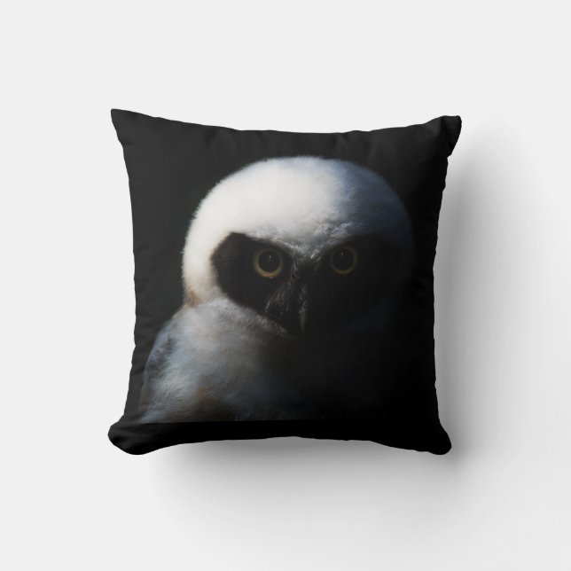 Intense Baby Owl Throw Pillow (Front)