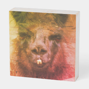 Intense Black Llama Face Close Up Distressed Wooden Box Sign