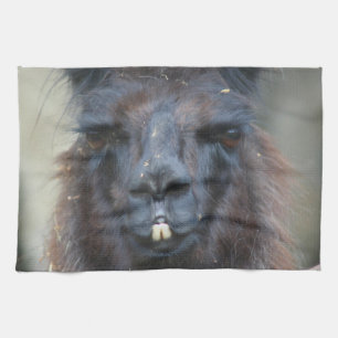 Intense Black Llama Face Close Up Kitchen Towel