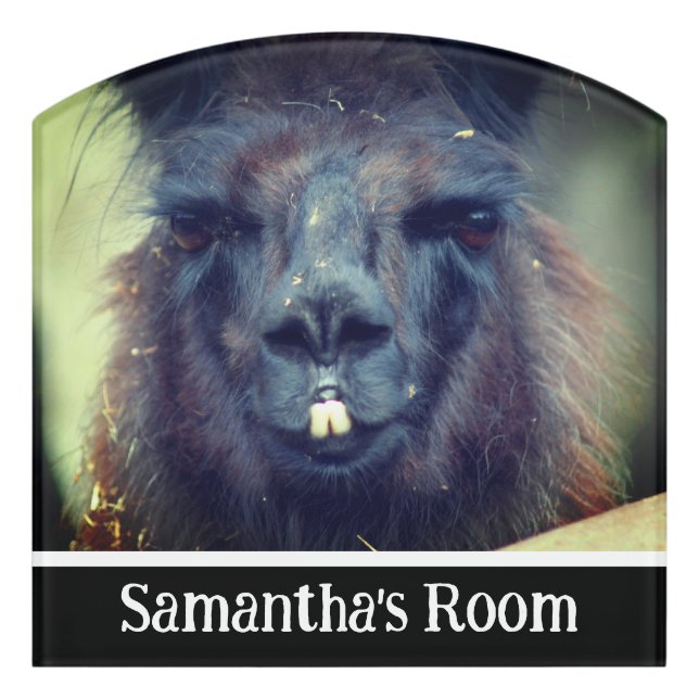 Intense Black Llama Face Personalized Door Sign (Contour Front)