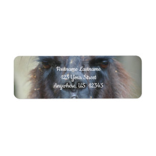 Intense Black Llama Farm Animal Address Label