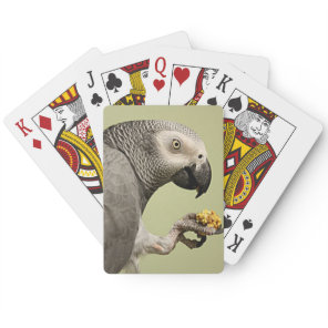 Intense Congo African Gray Parrot Snacking Poker Cards
