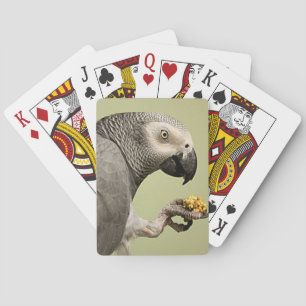 Intense Congo African Gray Parrot Snacking Poker Cards