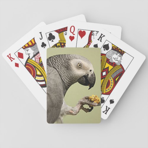 Intense Congo African Gray Parrot Snacking Poker Cards