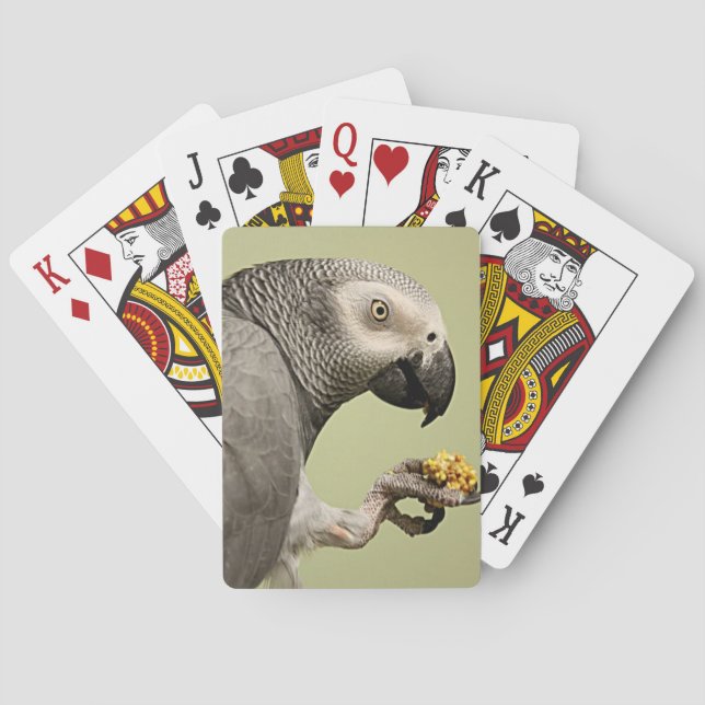 Intense Congo African Gray Parrot Snacking Poker Cards (Back)