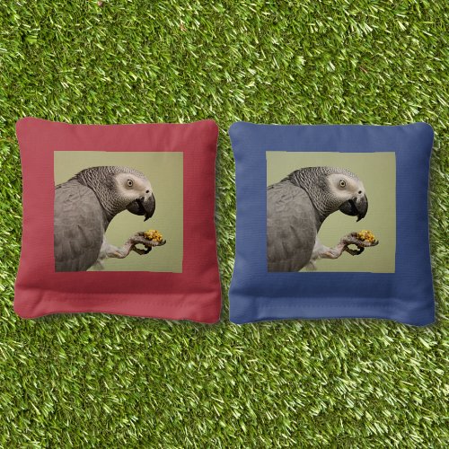 Intense Congo African Grey Parrot Snacking Cornhole Bags