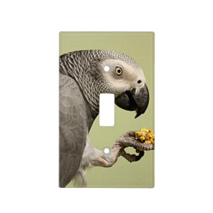 Intense Congo African Grey Parrot Snacking Light Switch Cover