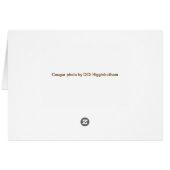Intense Cougar Cards (Back Horizontal)