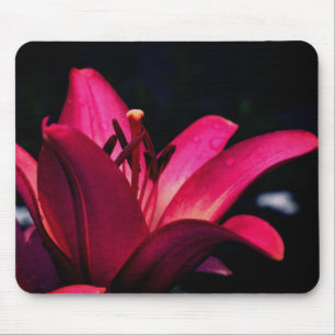 Intense Daylily Flower  Mouse Pad