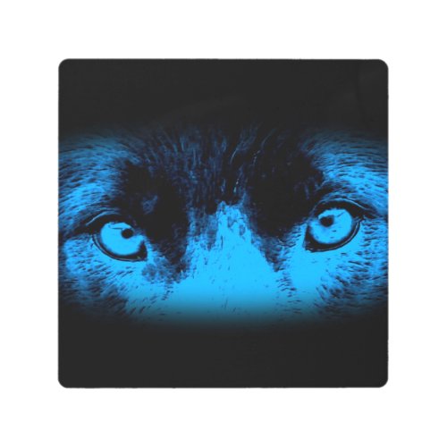 Intense Dog Eyes In Blue  Metal Print