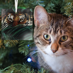 Intense Green Jungle Tiger Eyes Wildlife Leaves Glass Ornament
