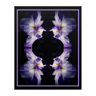 Intense Japanese Iris Flower Close Up Abstract Acrylic Print