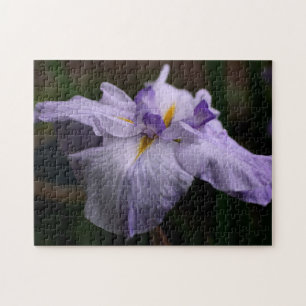 Intense Japanese Iris Flower Jigsaw Puzzle