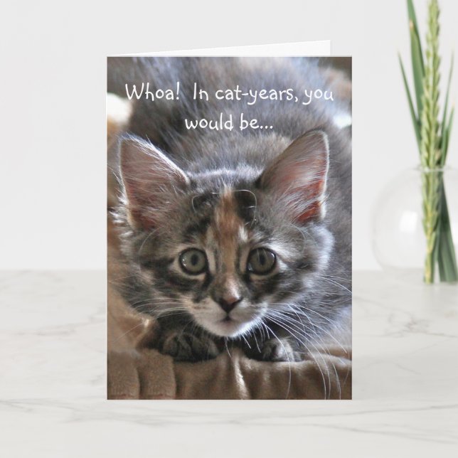Intense Kitten Happy Birthday Card (Front)