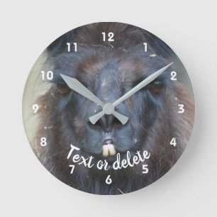 Intense Llama Face Close Up Personalized Round Clock