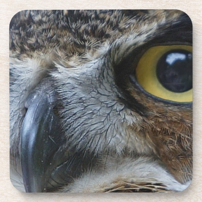 Intense Owl Beverage Coaster (Front)