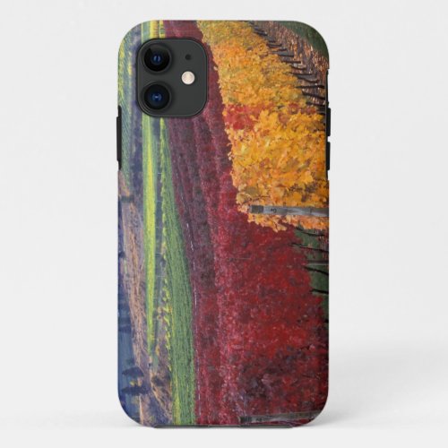 Intense red and yellow fall colors on Gehring iPhone 11 Case