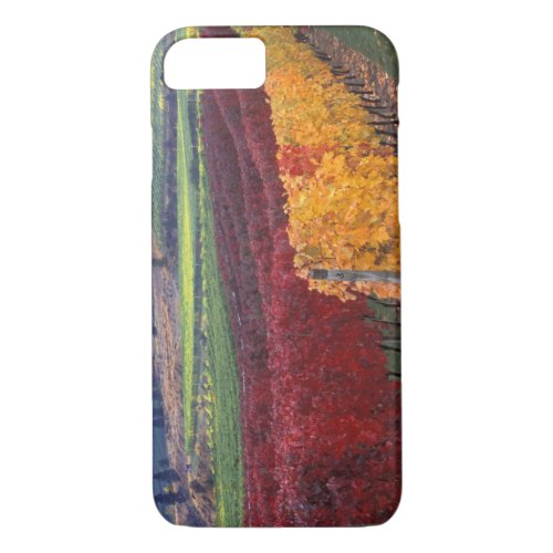 Intense red and yellow fall colors on Gehring iPhone 87 Case