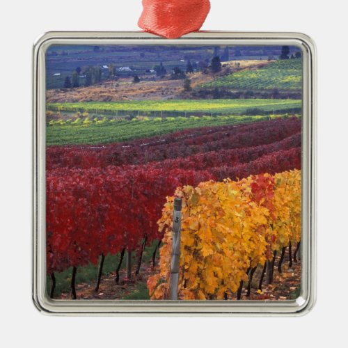 Intense red and yellow fall colors on Gehring Metal Ornament