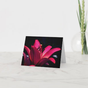 Intense Red Lily Flower Photography Note Card
