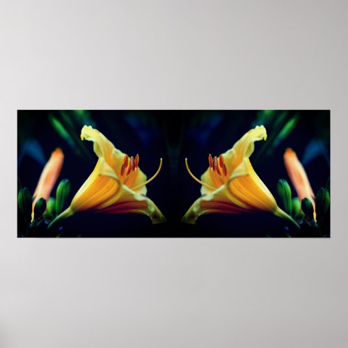 Intense Yellow Lily Flower Mirror Abstract Poster