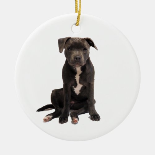 Intensely adorable blue staffy ceramic ornament