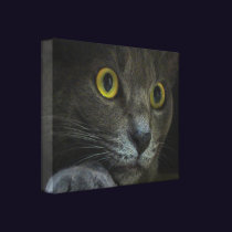 Intensity Canvas Print