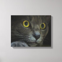 Intensity Canvas Print