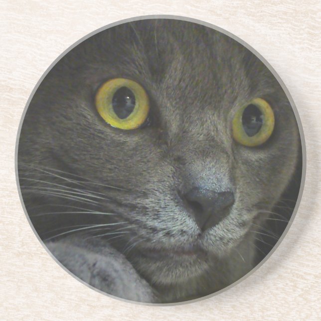 Intensity Coaster (Front)