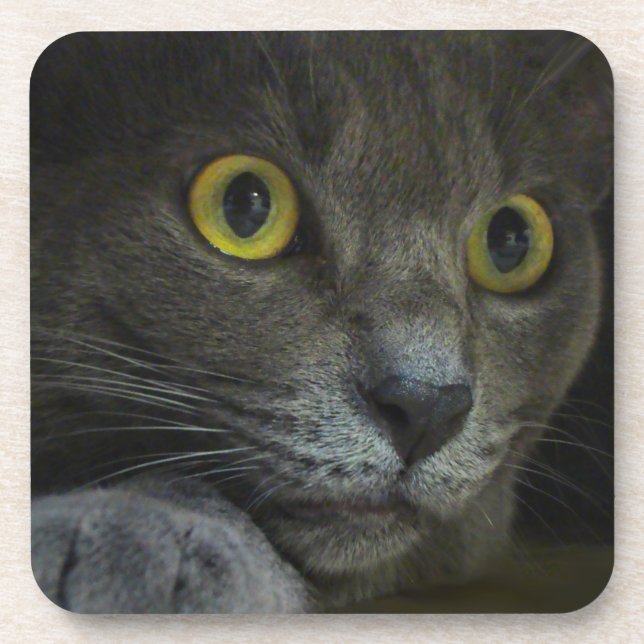 Intensity Cork Coaster (Front)