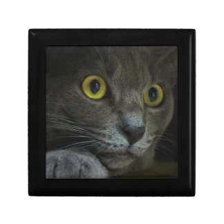 Intensity Gift Box